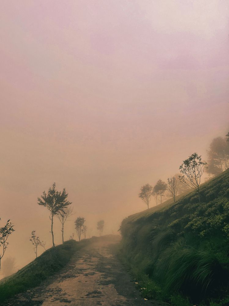 Photograph by Vivek Prasad