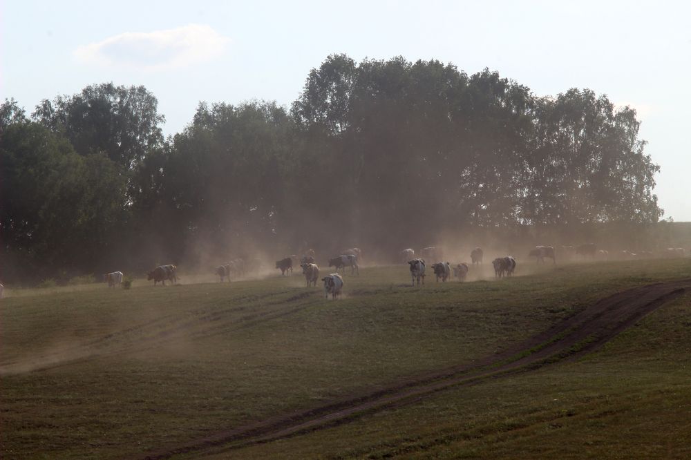 Photograph by Станислав Карнаухов