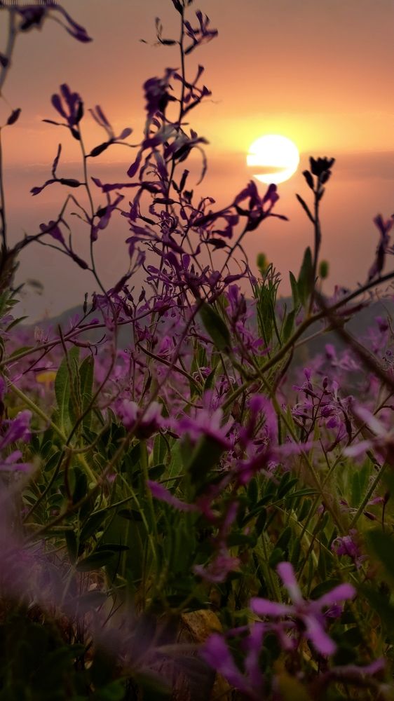 Photograph by Anetta Kopenkina