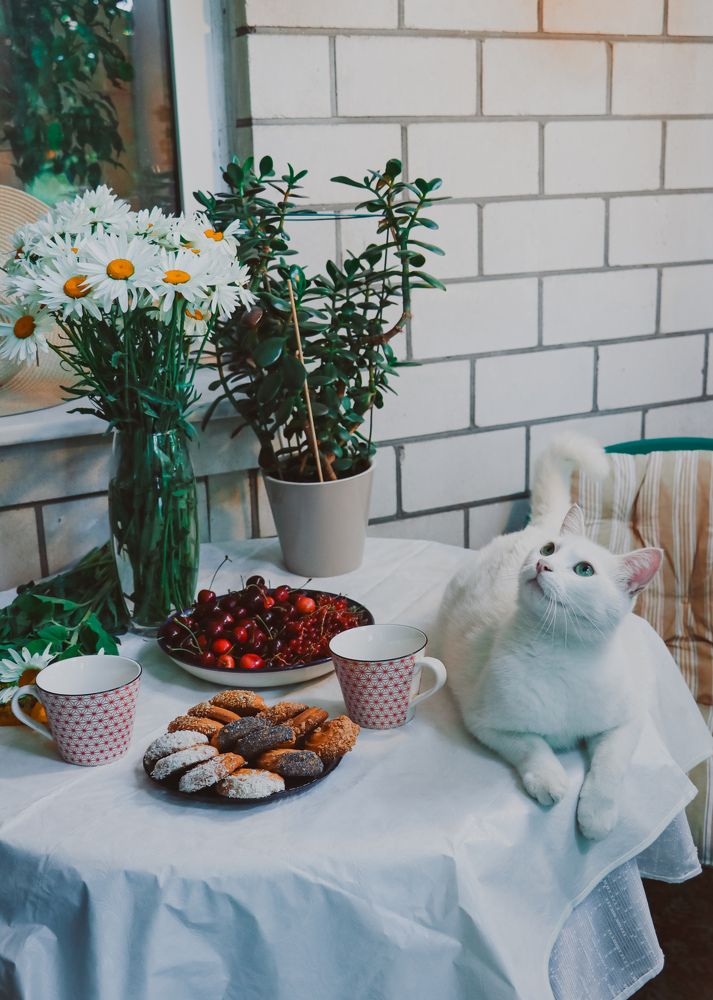 Photograph by Христина Сергейчик