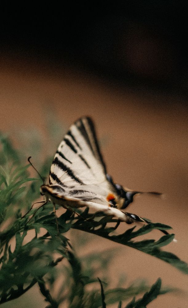 Photograph by Юлия Ткачёва