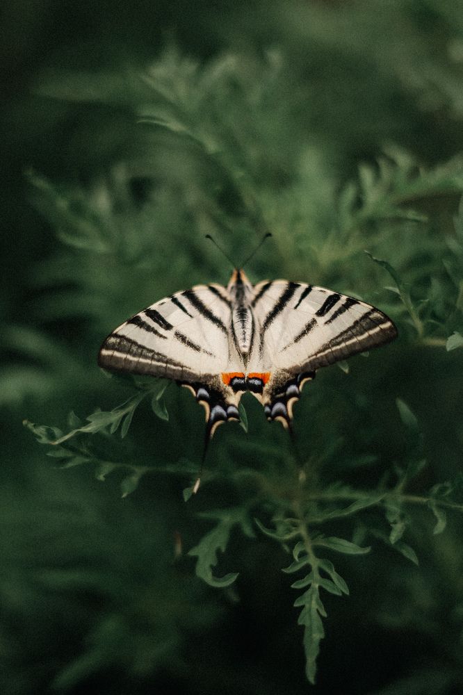 Photograph by Юлия Ткачёва