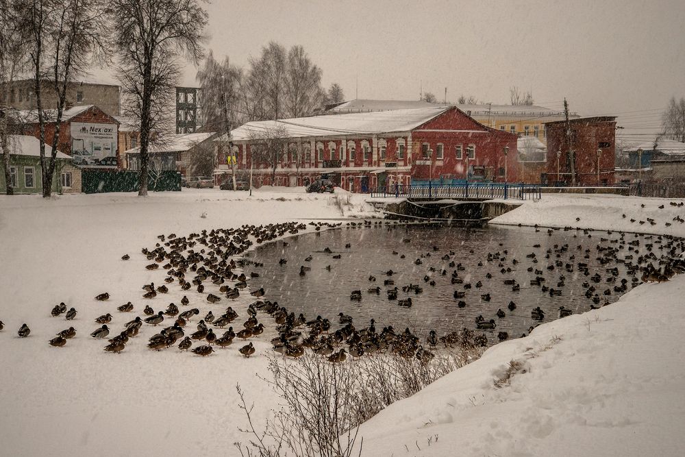 Photograph by Тамара Цилиакус