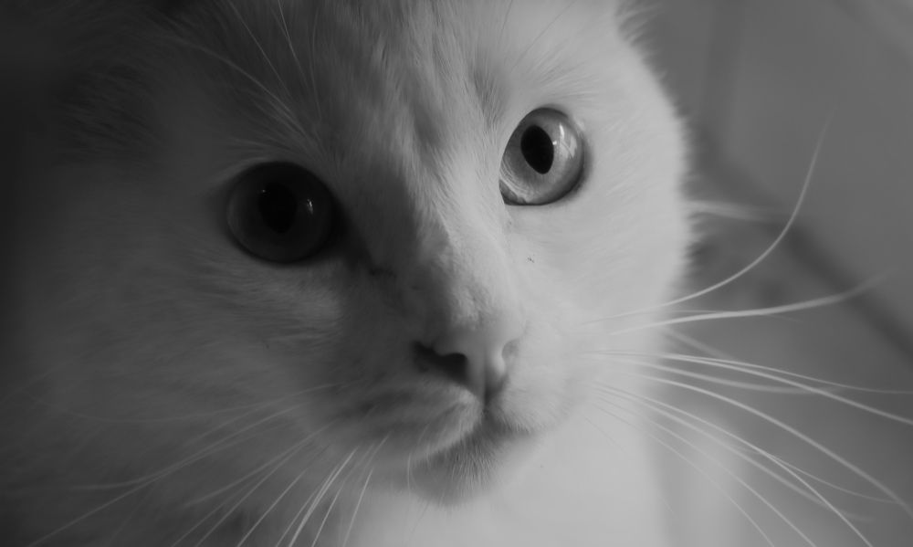 Photograph by Христина Сергейчик