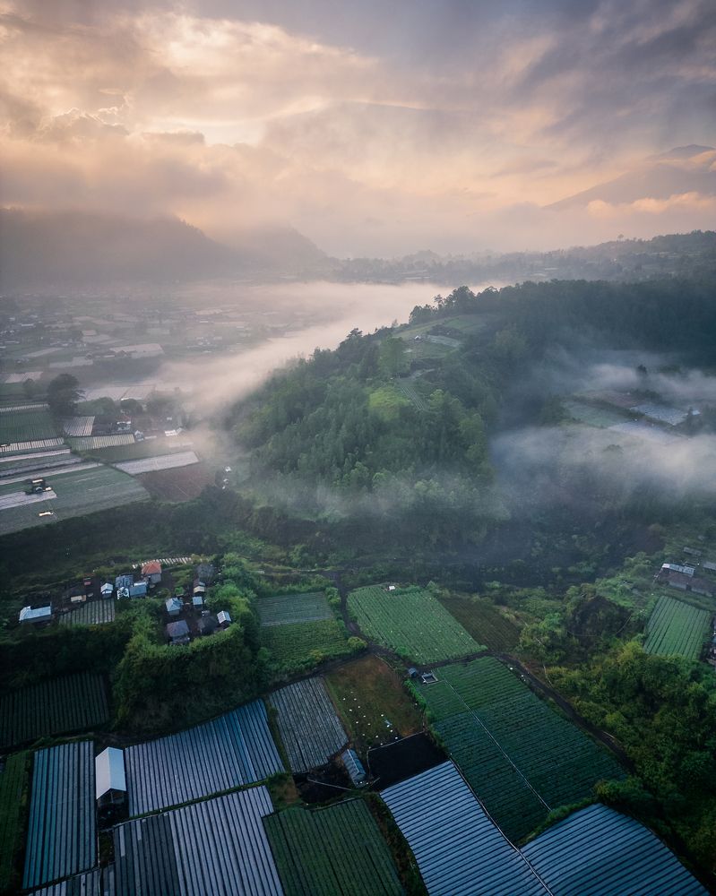 Photograph by Yaskara Dana