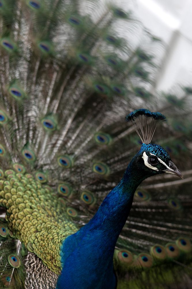 Photograph by Татьяна Бокарева