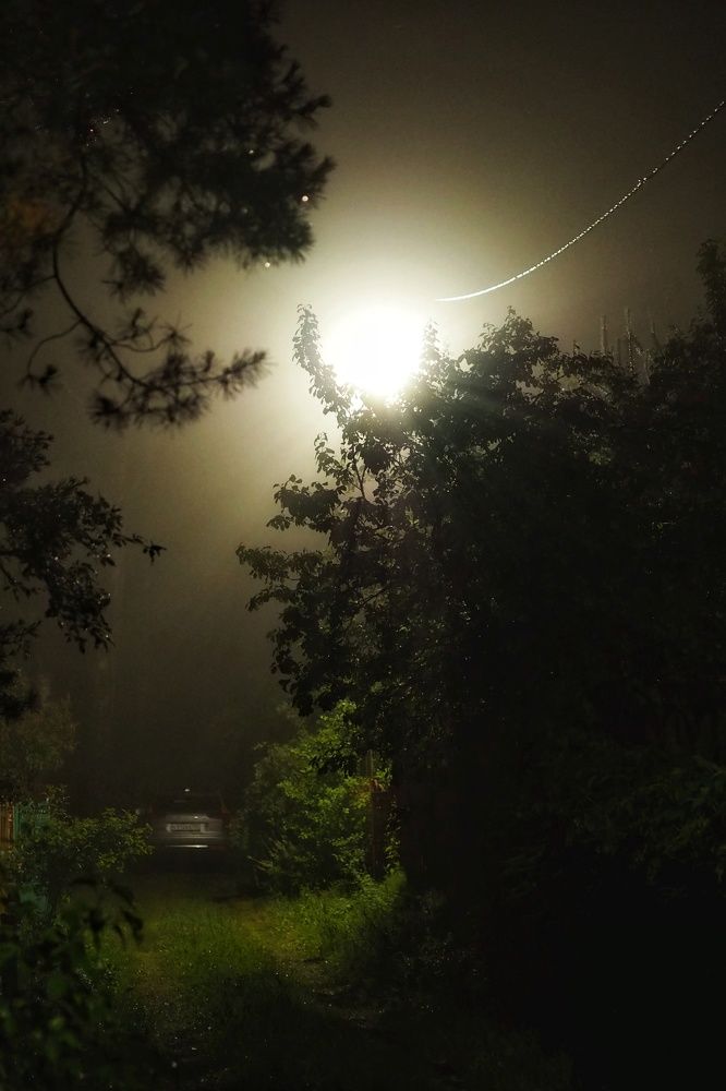 Photograph by Анастасия Кочетова