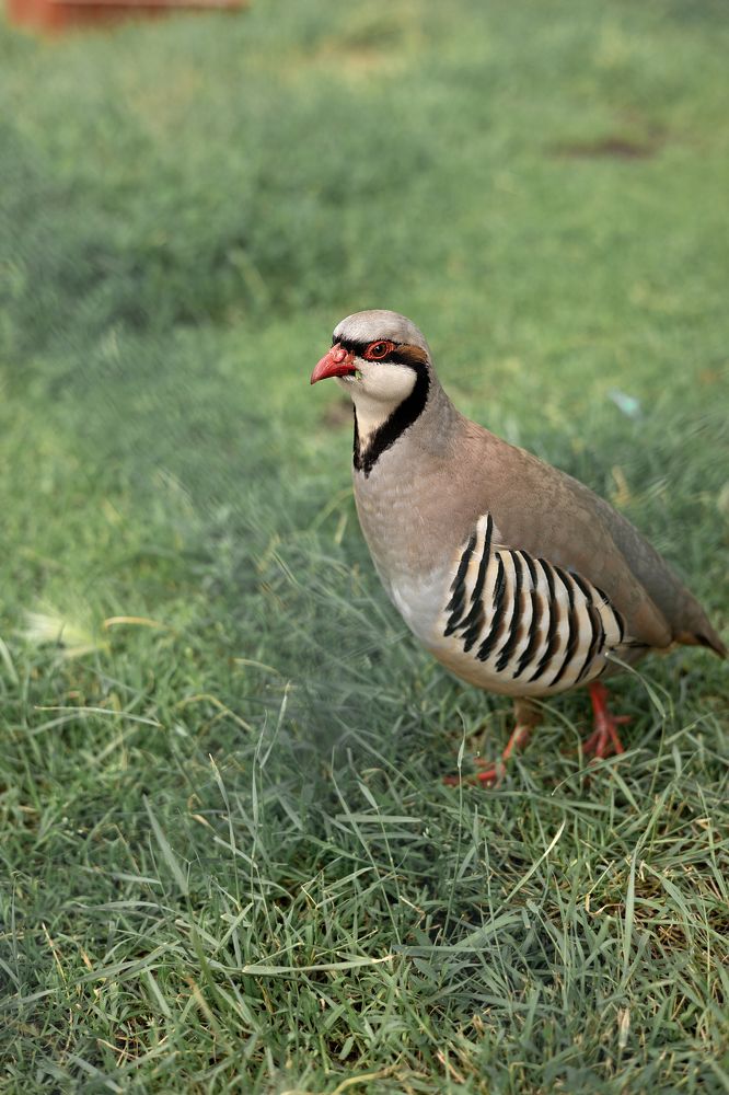 Photograph by Татьяна Бокарева