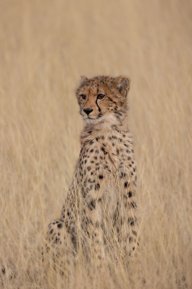 Photograph by Raquel Barao