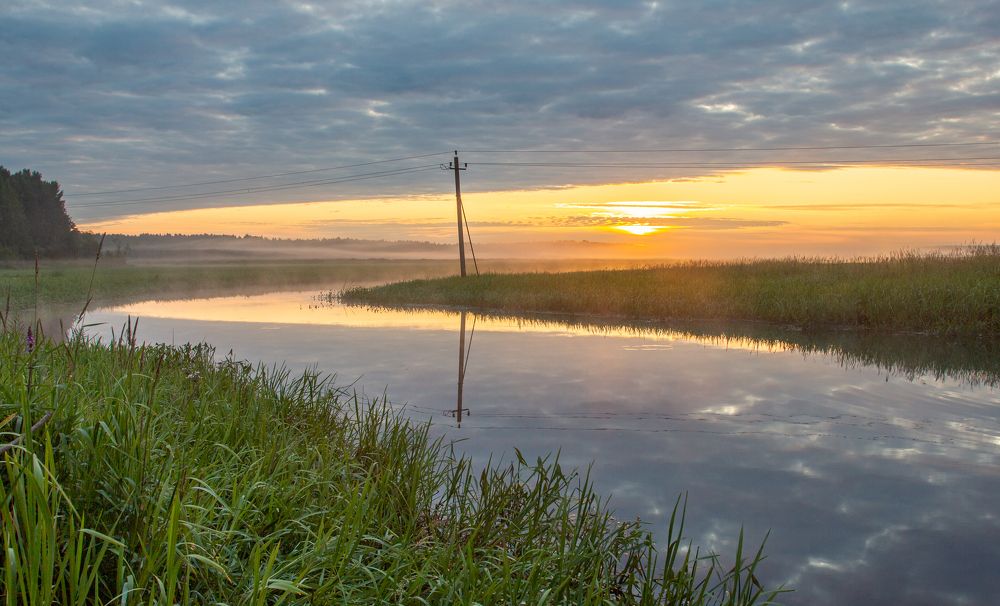 Фотография автора Комарова Вера