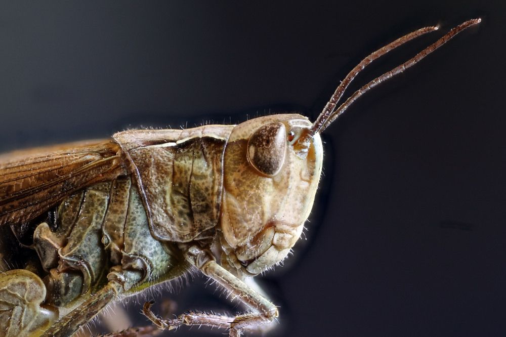 Photograph by Сергей Прокофьев