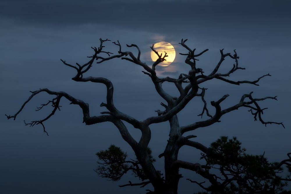 Photograph by Шаньгин Михаил