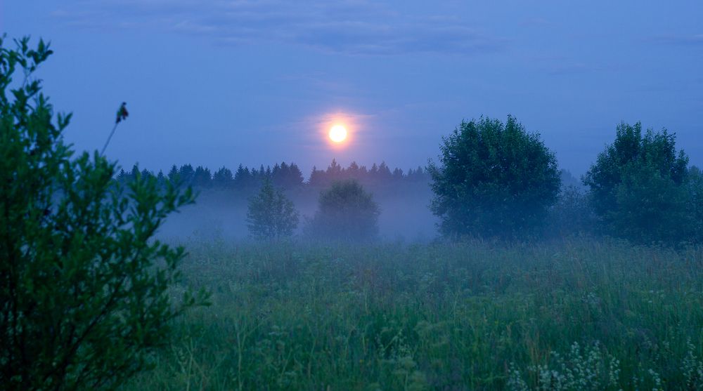 Photograph by Vera Komarova