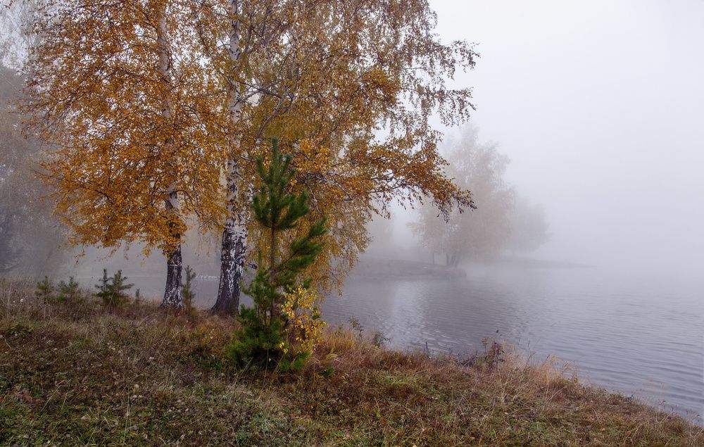 Photograph by Алексей Хахлов