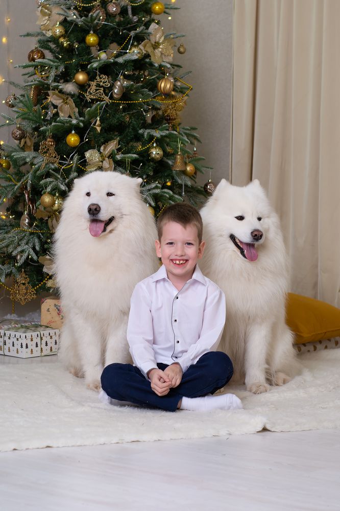 Photograph by Татьяна Гурьянова