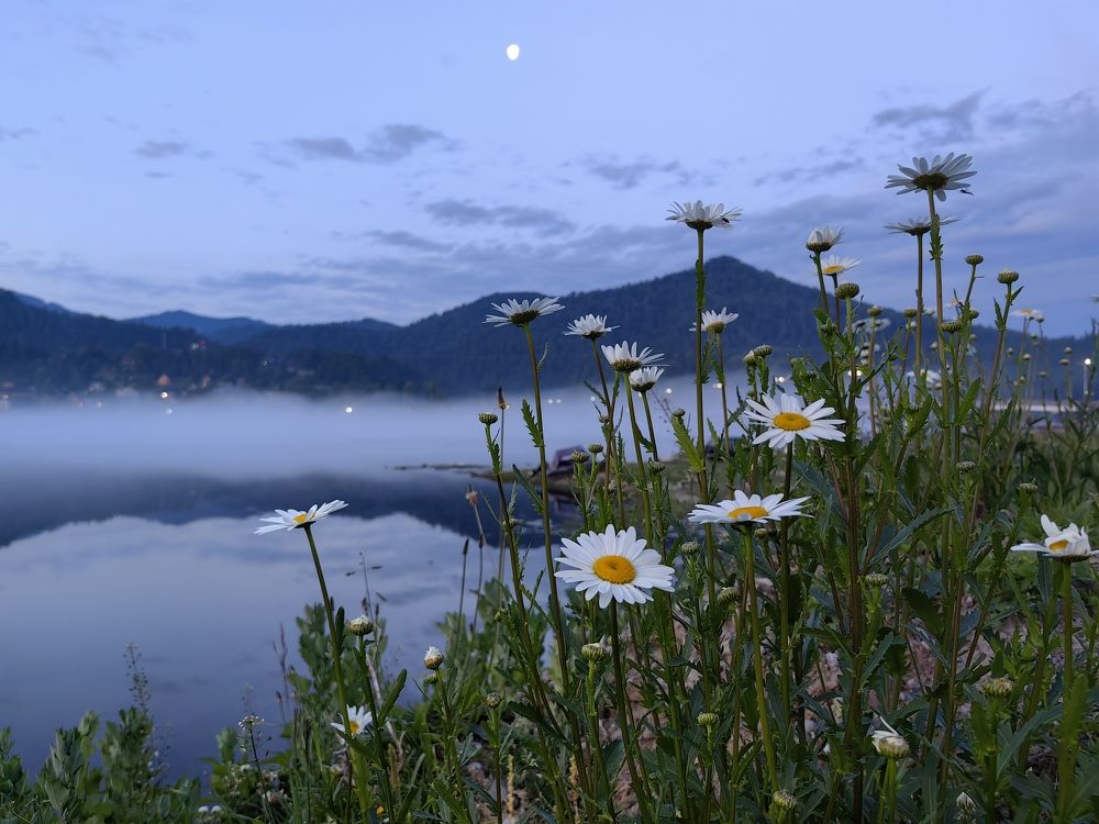 Утром на озере