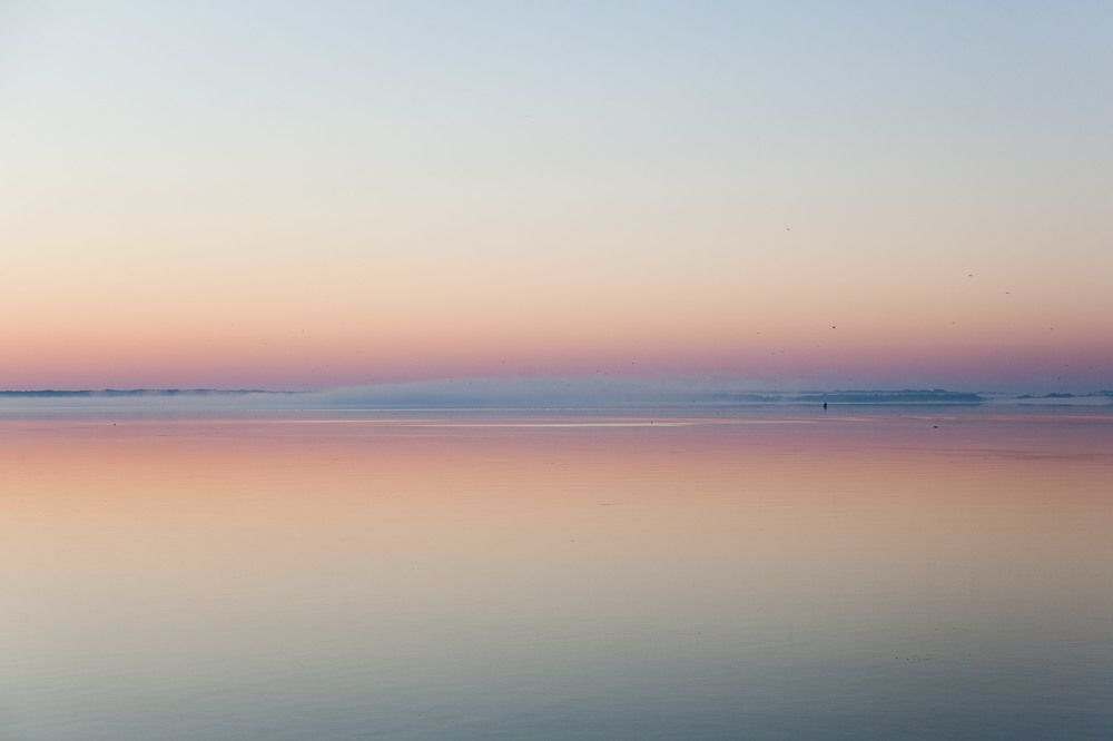 Photograph by Татьяна Савраева