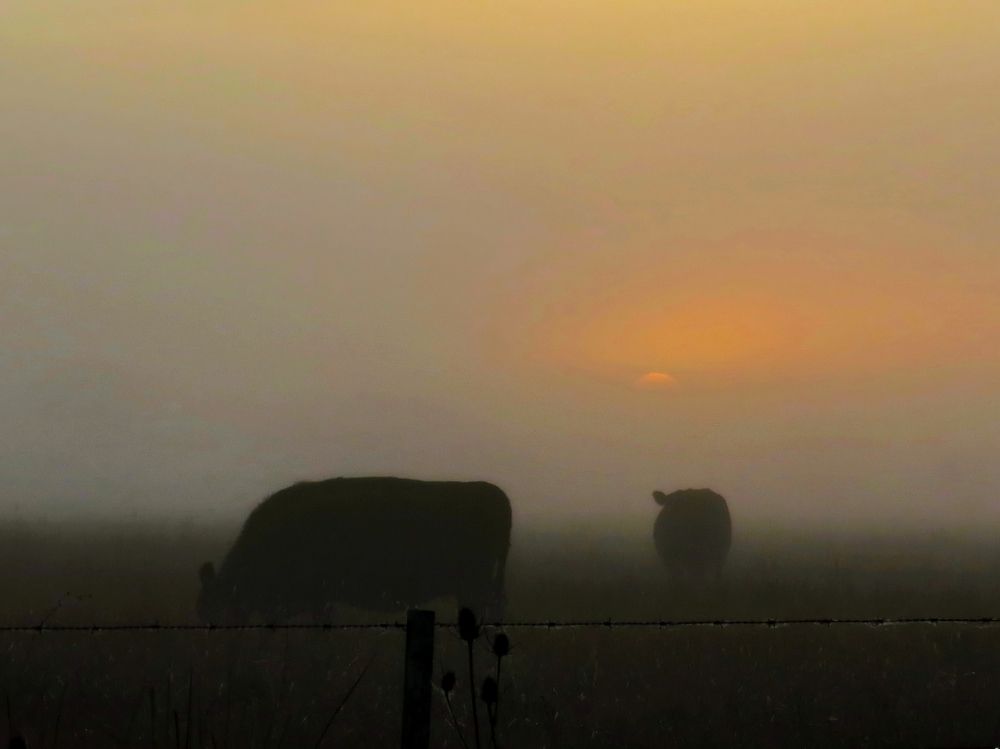 Photograph by Viviana García