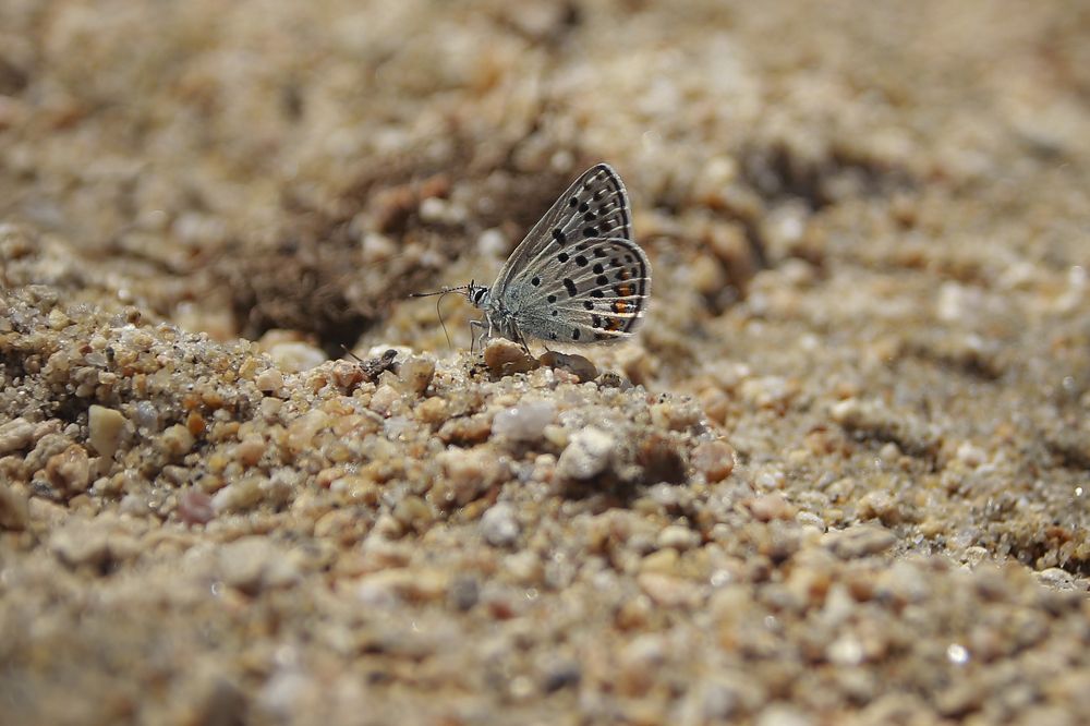Photograph by Людмила Савчук