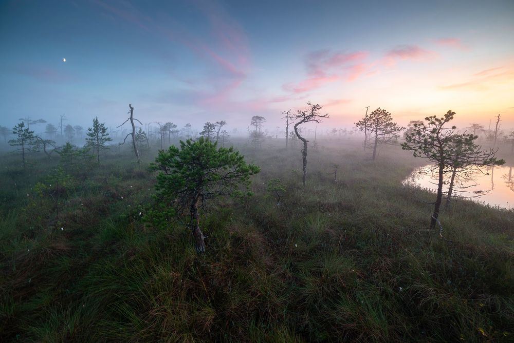 Photograph by Радик Гатауллин