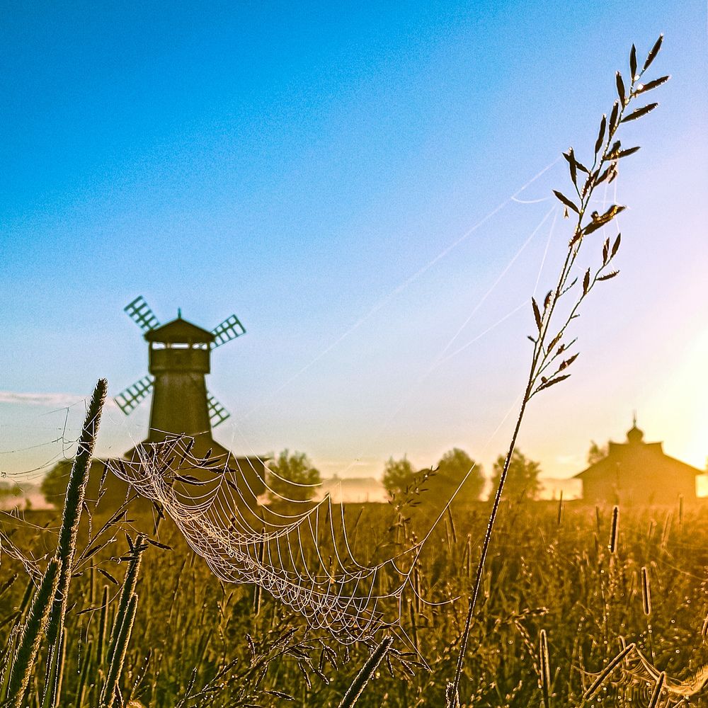 Фотография автора Александр Гордон