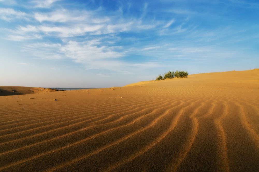 Photograph by Ольга Шарикова