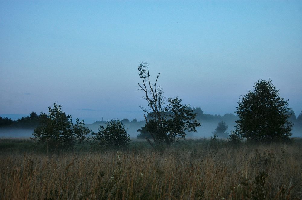 Photograph by  Артем Иванович