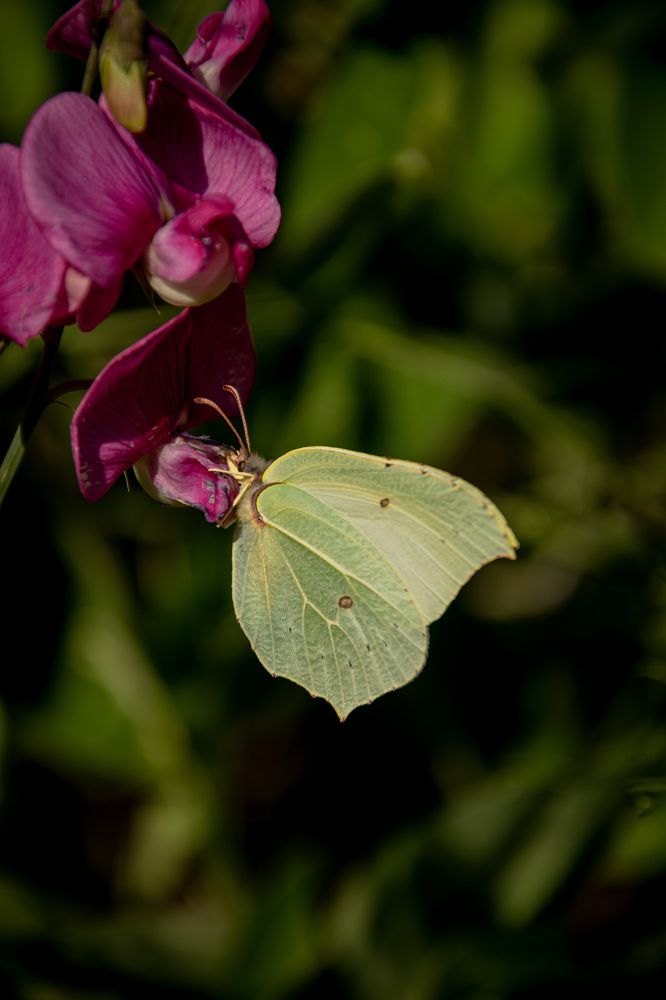 Photograph by Сидоренко Оксана