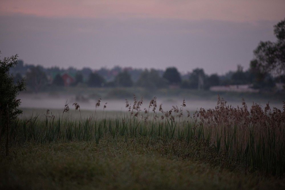 Photograph by Елена Мороз