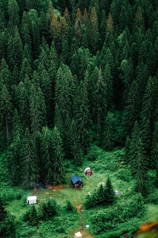 Кемпинг на краю леса