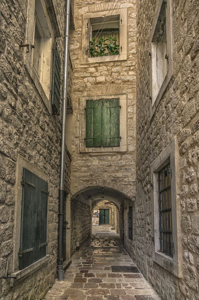 Фотография автора Milena Ivanova