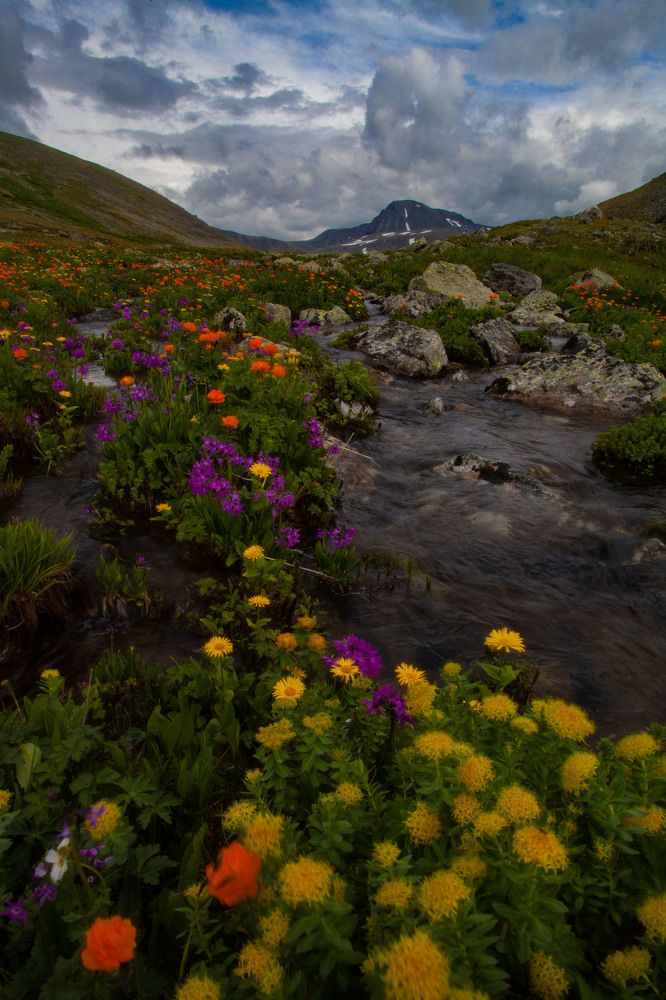 Photograph by Ксения Никифорова