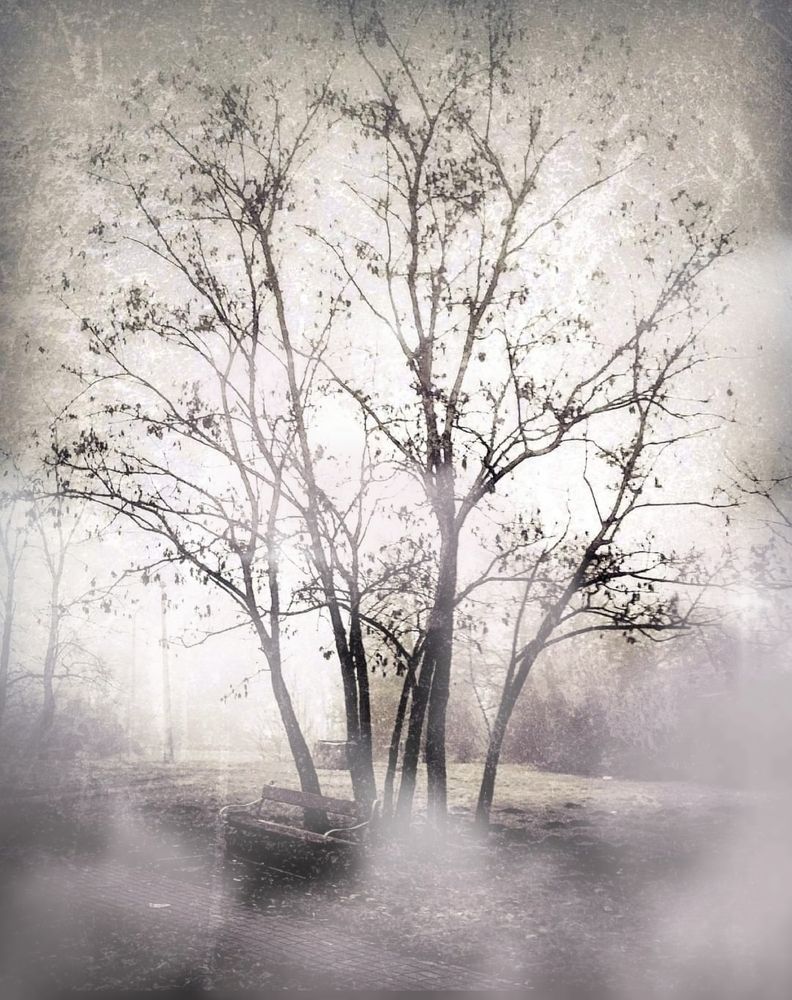 Photograph by Nikolett Mengyi