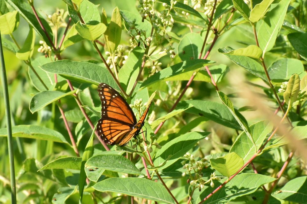 Photograph by Tyler Dewees