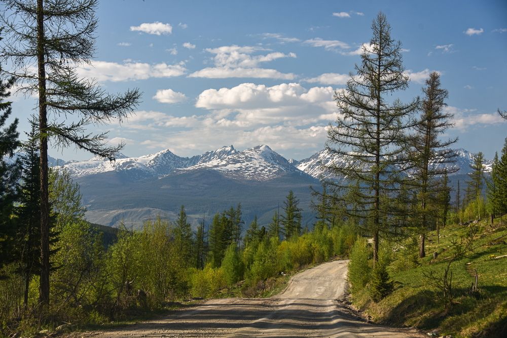 Горная дорога к перевалу.