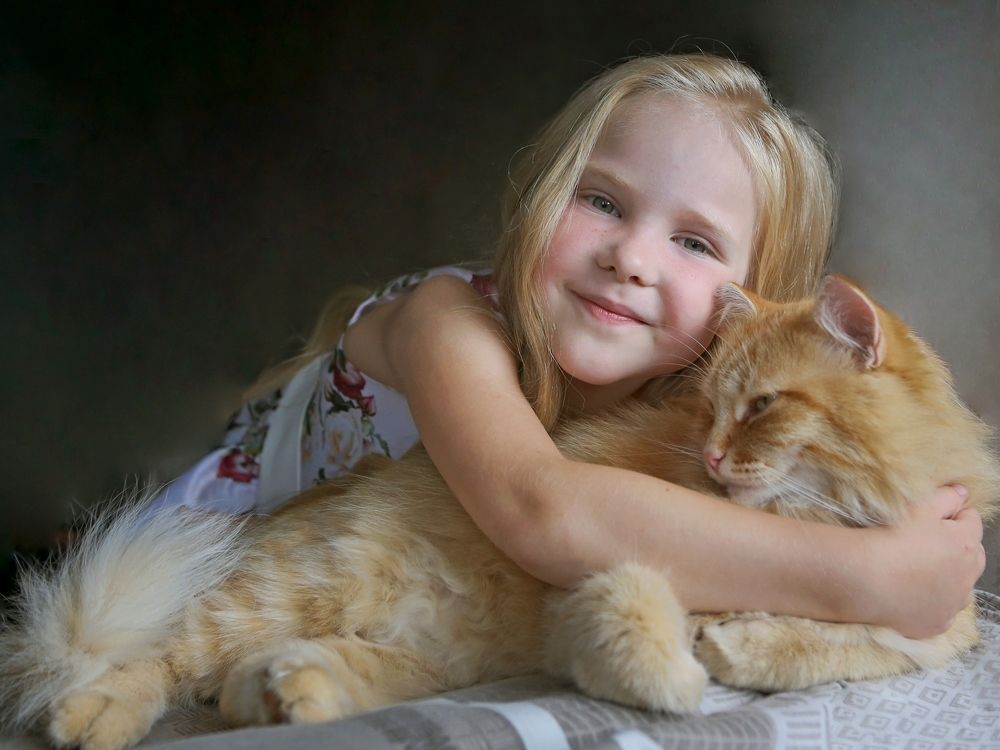 Теплые коты.