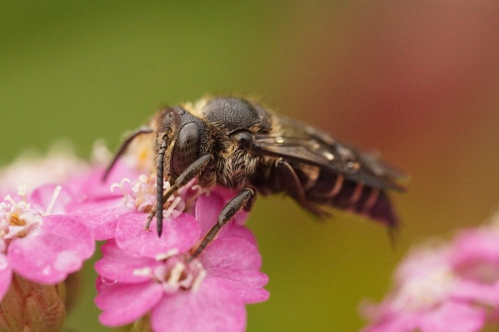 Photograph by Алфия Бугакова