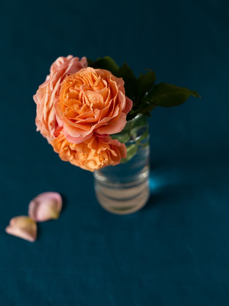 Photograph by Алина Еникеева