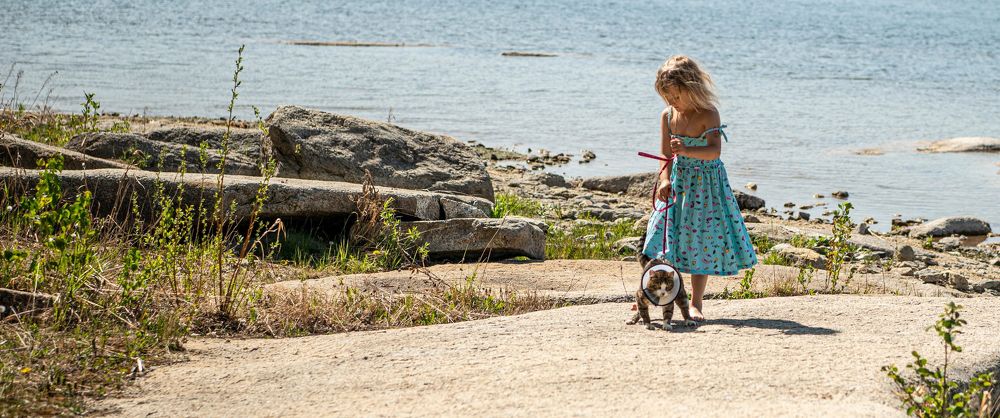 Photograph by Федор Фокин