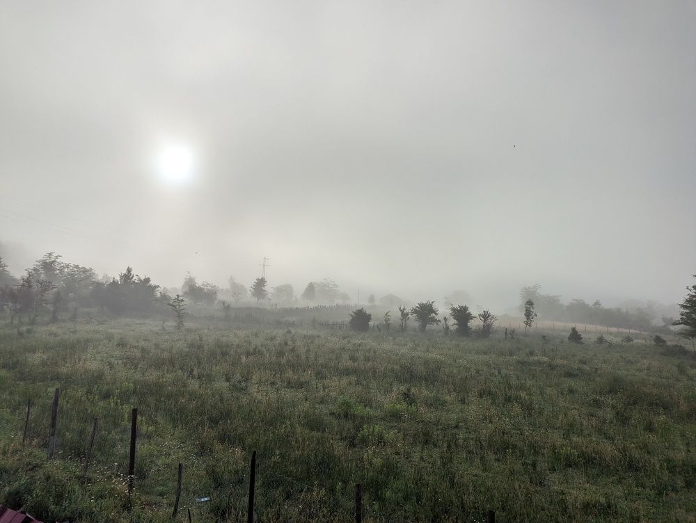 Фотография автора Ольга Костенко