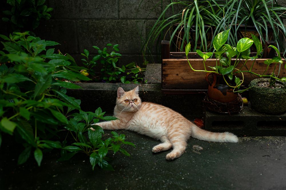 Photograph by Armando López-Guerrero