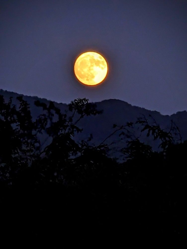 Фотография автора Ольга Костенко