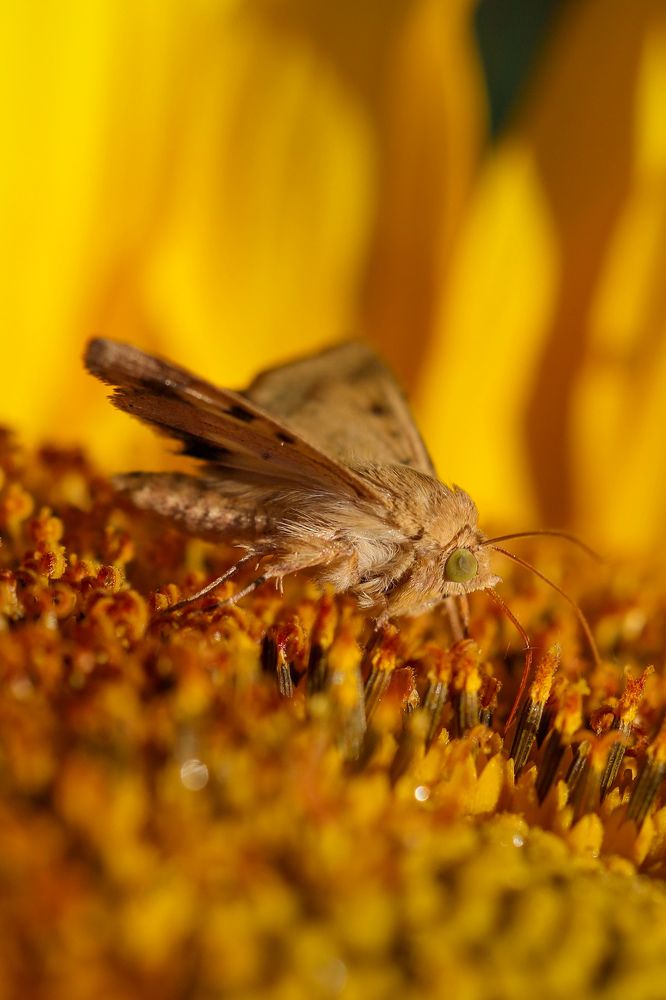 Photograph by Сергей Конюшенко