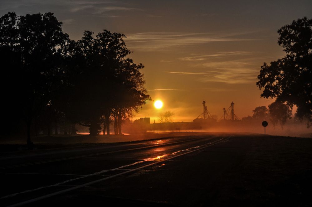 Photograph by Ricardo Kimmich