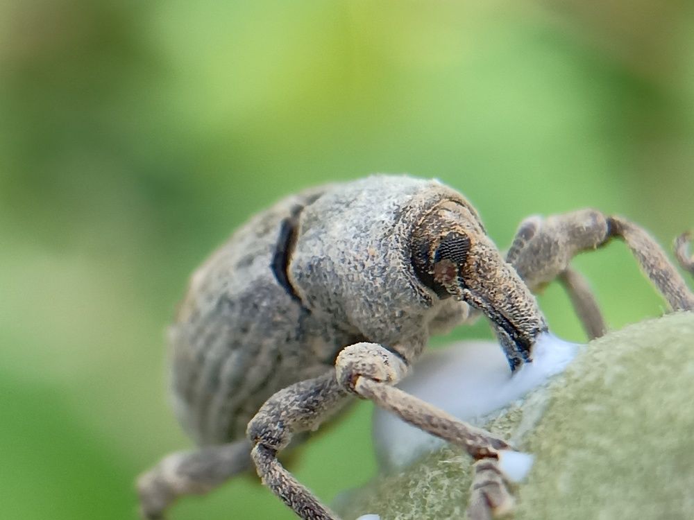 Photograph by B.Dhana sekaran