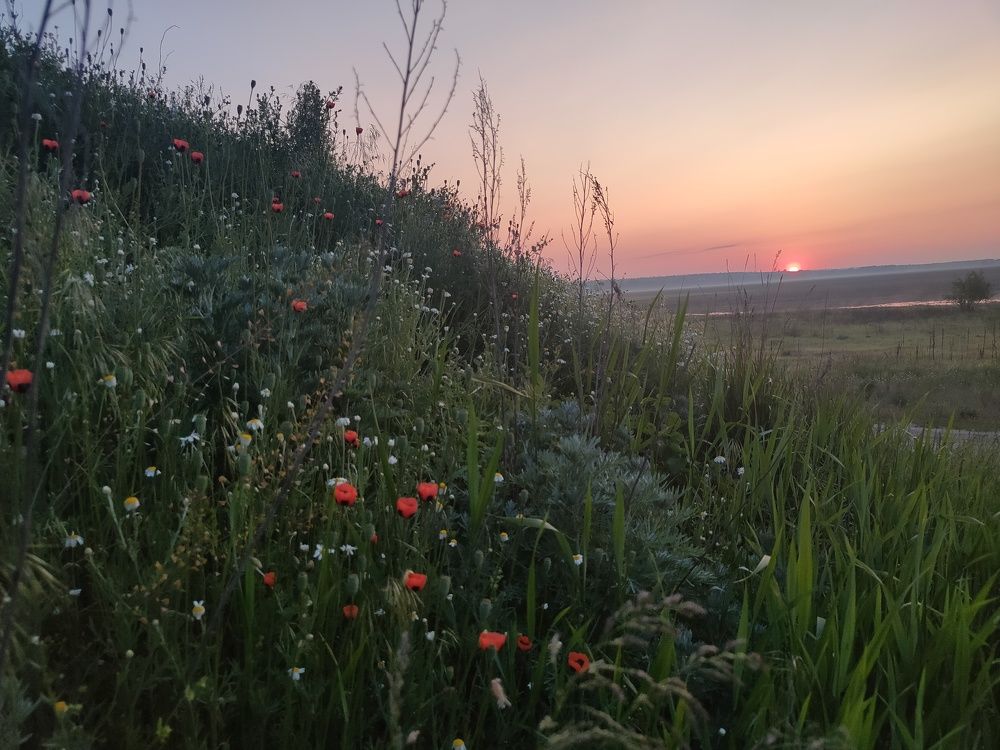 Photograph by Сергей Конюшенко