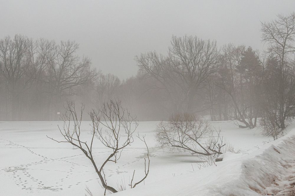 Photograph by Vladimir  Komarov