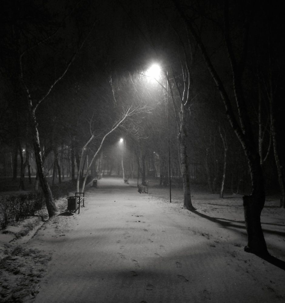 Photograph by Орынбек Асилбаев