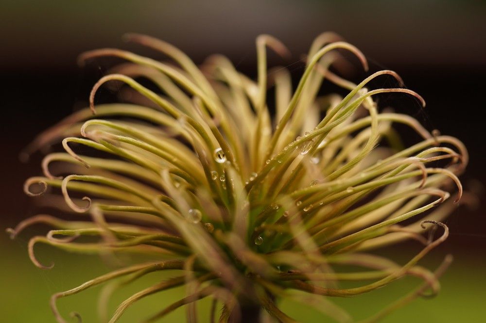 Photograph by Алфия Бугакова