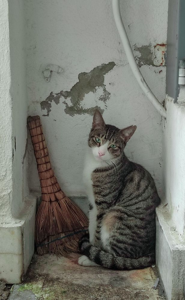 Photograph by Shima Farzaneh